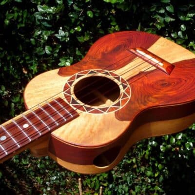 Cocobolo and Olive Rosette