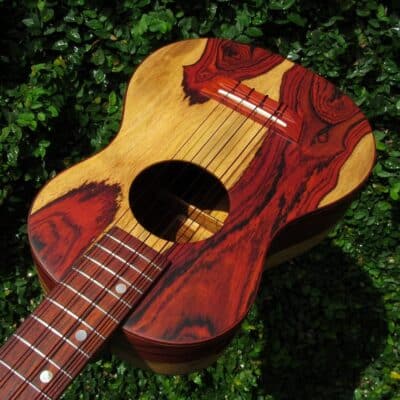 <span style="font-size: 120%;">5-</span>String Setup