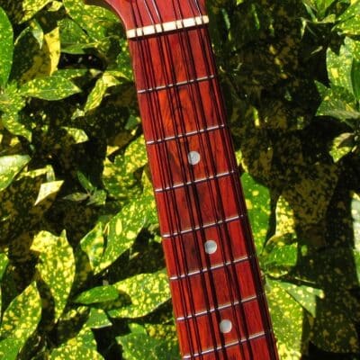 <span style="font-size: 120%;">8-</span>String Setup