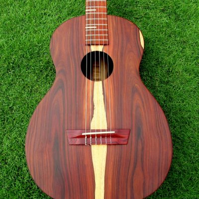 Parlor Guitar #007